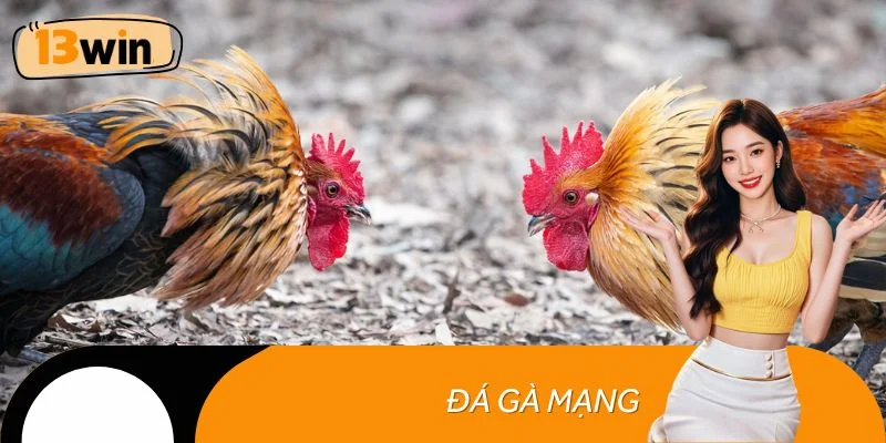 Đá gà mạng